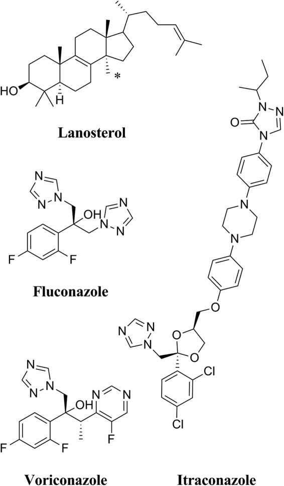 FIG 1