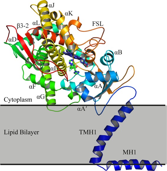 FIG 2