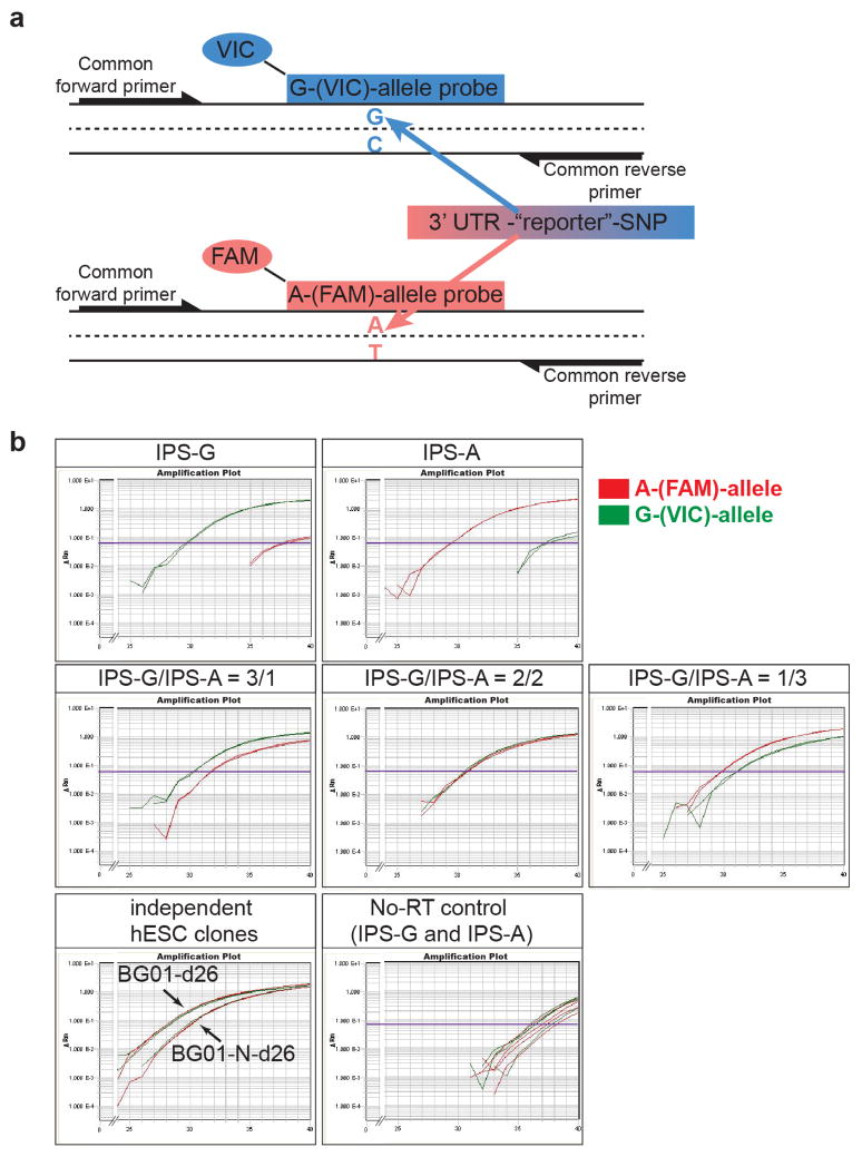 Extended data Fig. 1