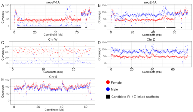 Figure 4: