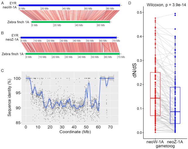 Figure 5: