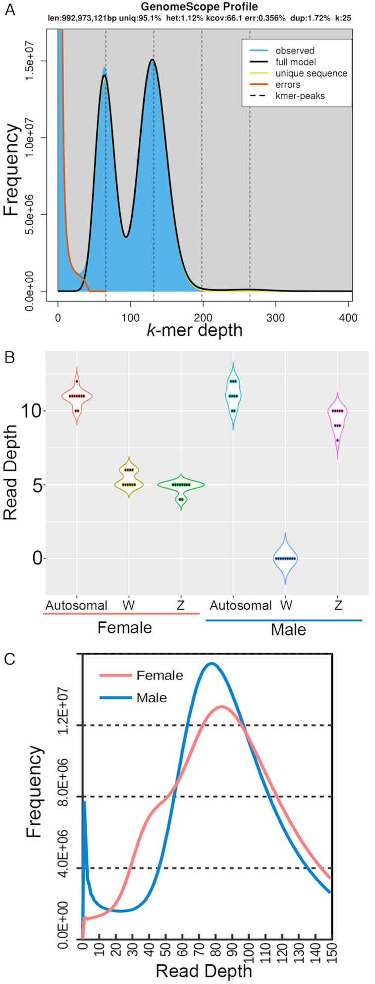 Figure 2: