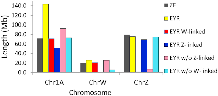 Figure 3: