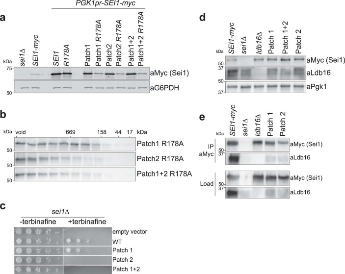 Extended Data Fig. 7