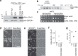 Extended Data Fig. 6