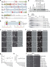 Extended Data Fig. 1