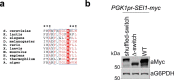 Extended Data Fig. 9