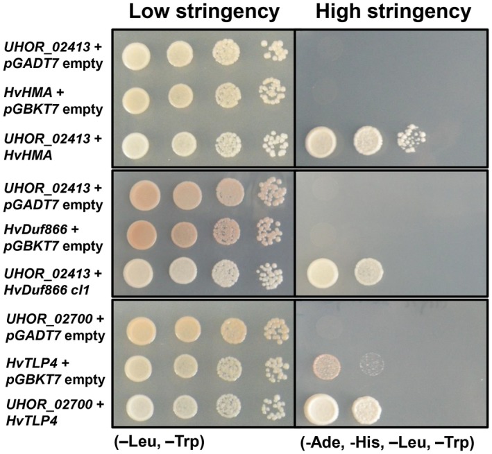 Figure 6