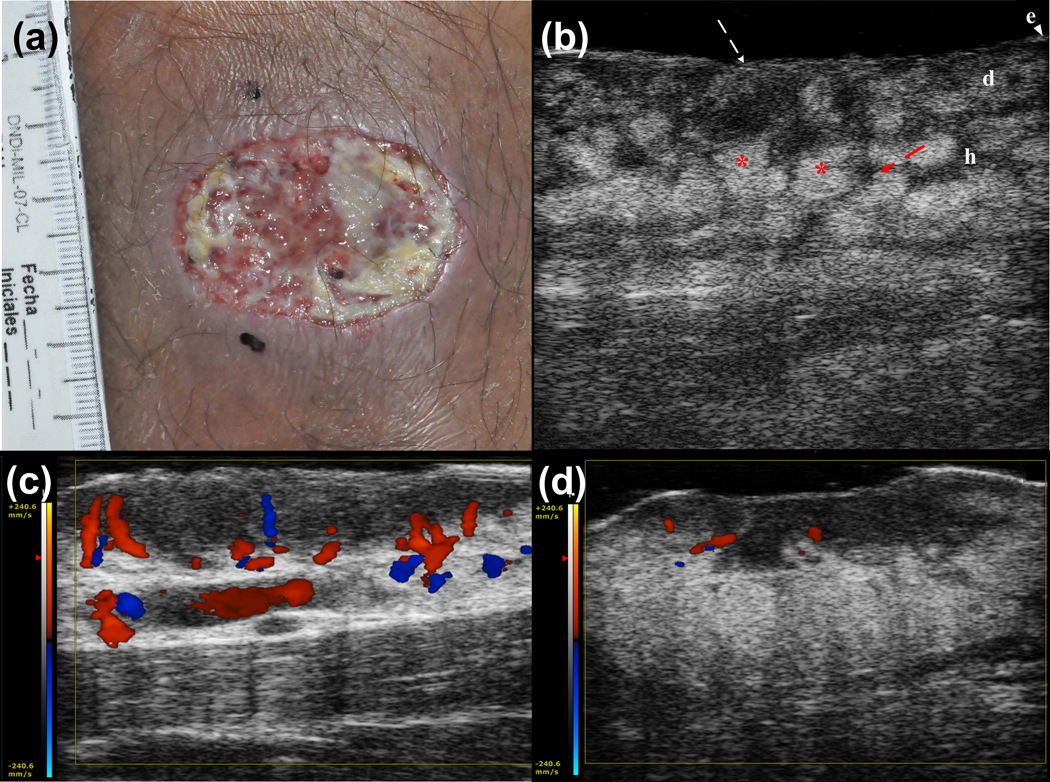 Figure 1.