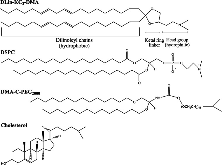 Fig. 3