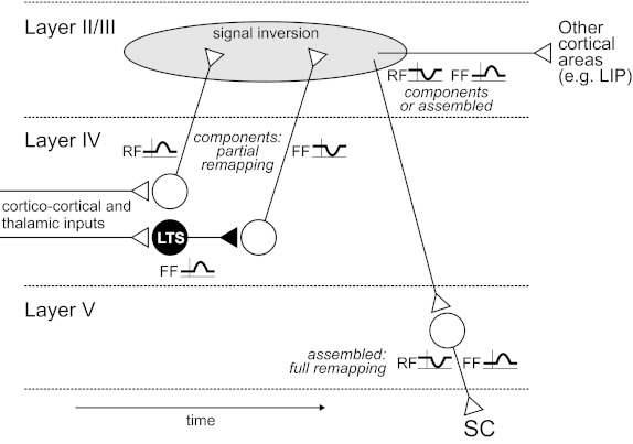 Fig. 12.