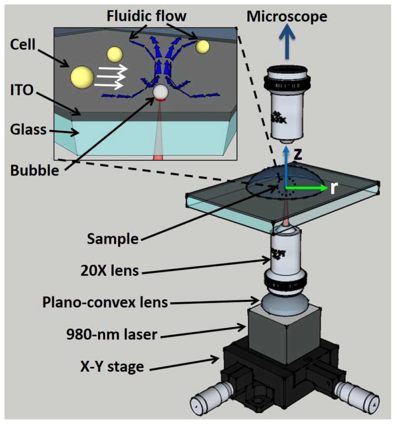 Fig. 1