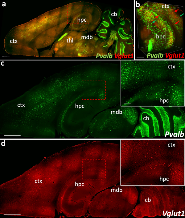 Fig. 5.