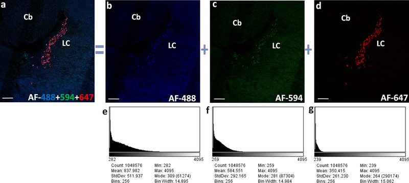 Fig. 6.