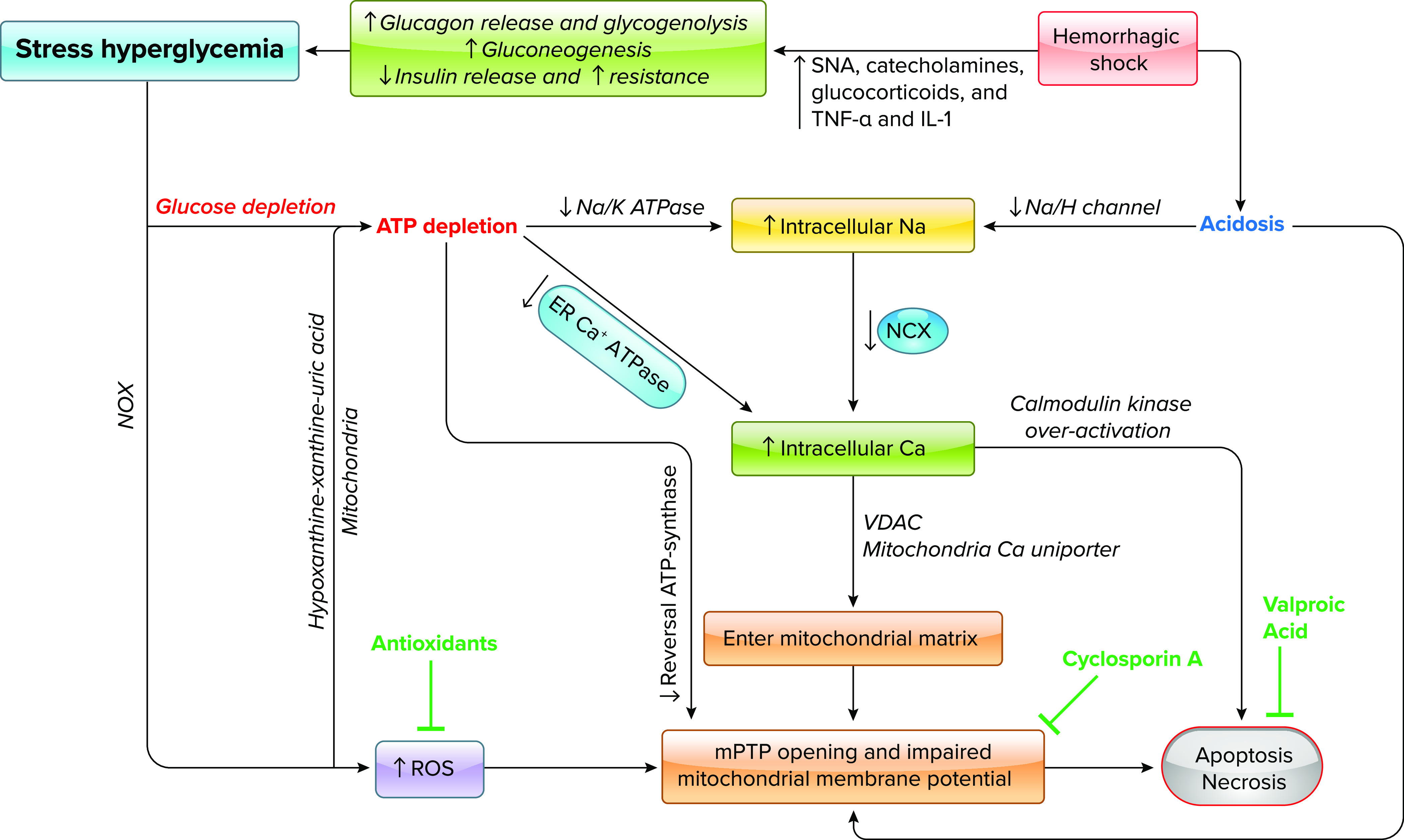 FIGURE 4.