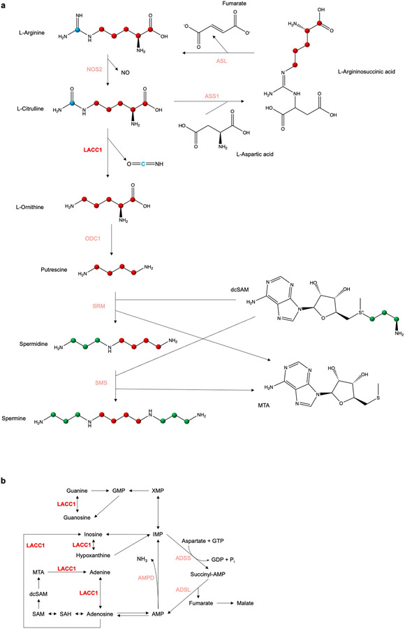 Extended Data Fig. 7.