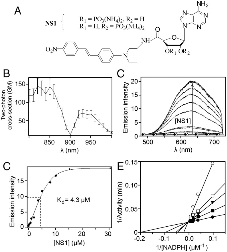 Fig. 2.