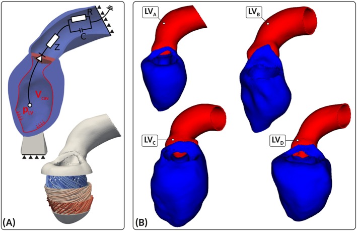 cnm3147-fig-0002