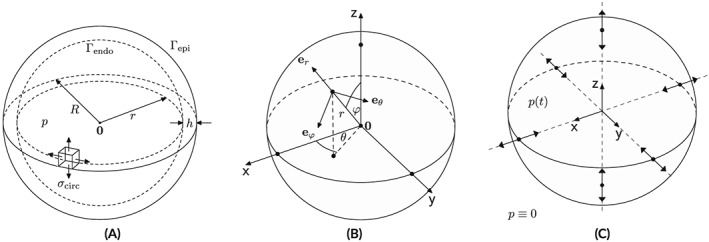 cnm3147-fig-0001