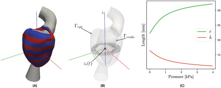 cnm3147-fig-0004