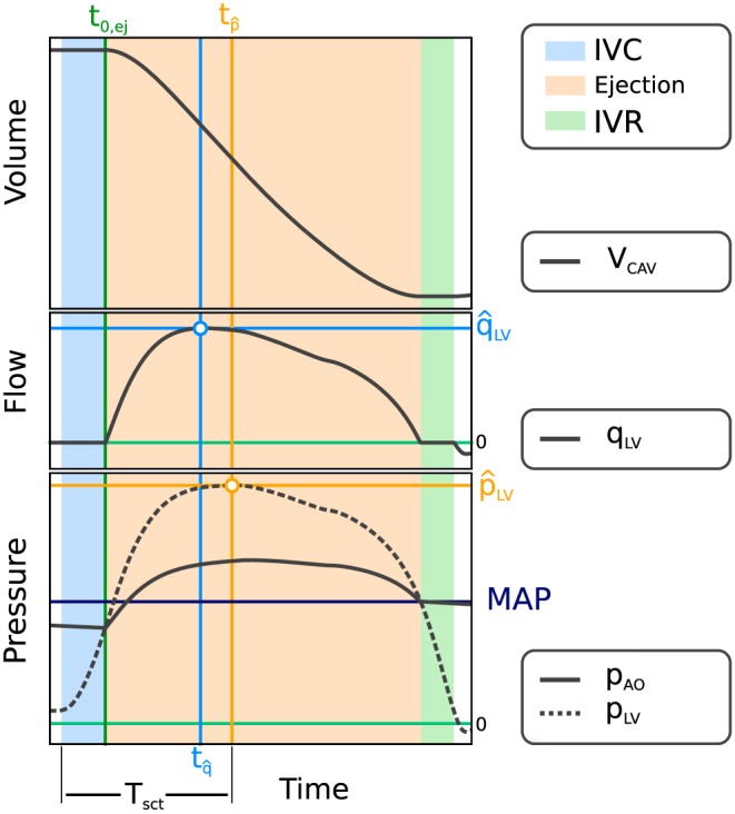 cnm3147-fig-0003