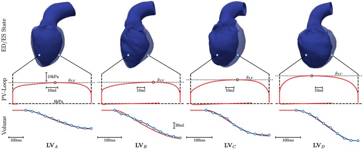 cnm3147-fig-0007