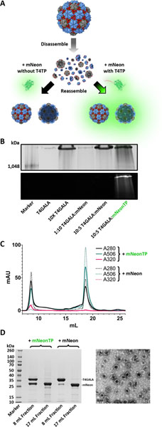 Figure 5.