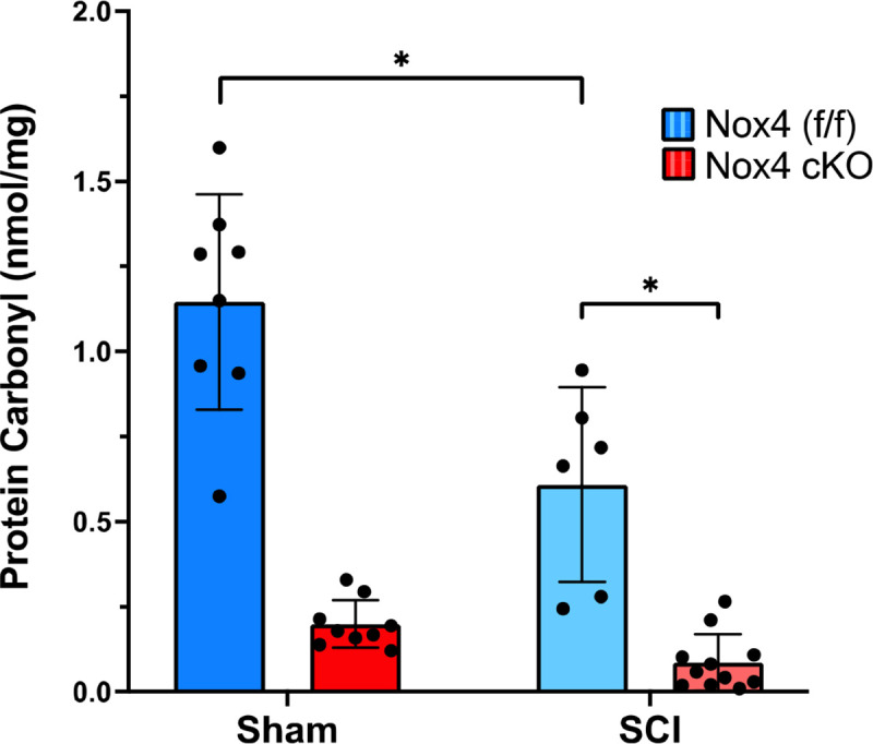 Figure 5.