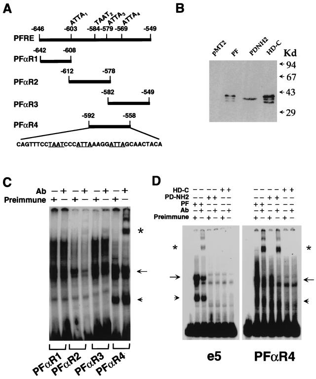 FIG. 6