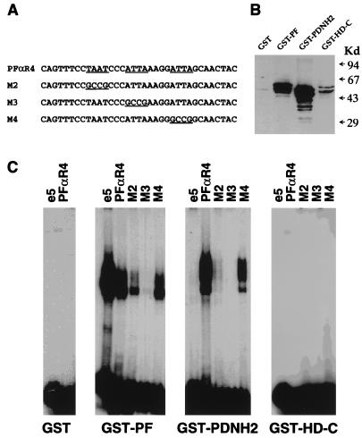 FIG. 8
