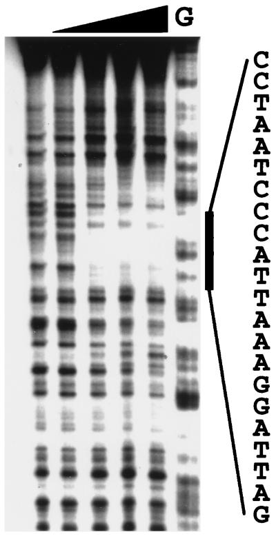 FIG. 5