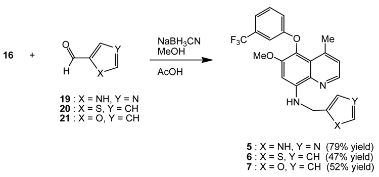 Scheme 4