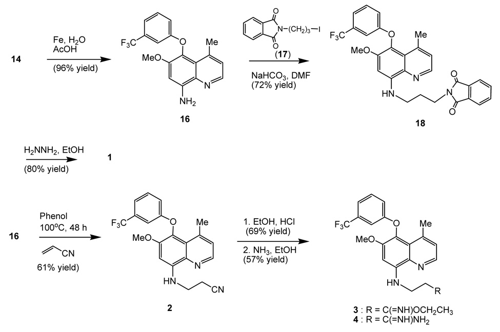 Scheme 3