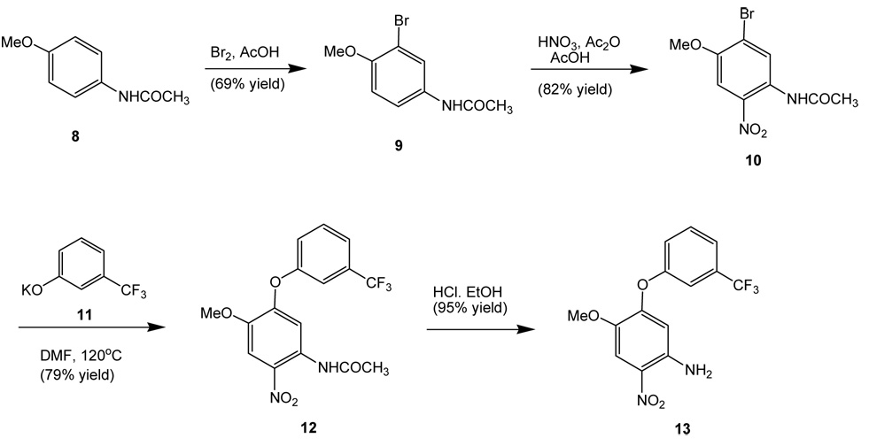 Scheme 1