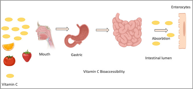 Fig. 5