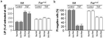 FIG. 5.