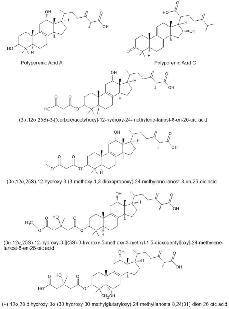 Figure 3