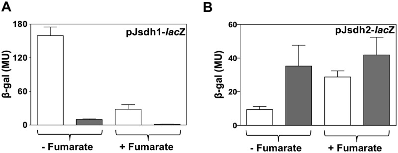 FIG 3 