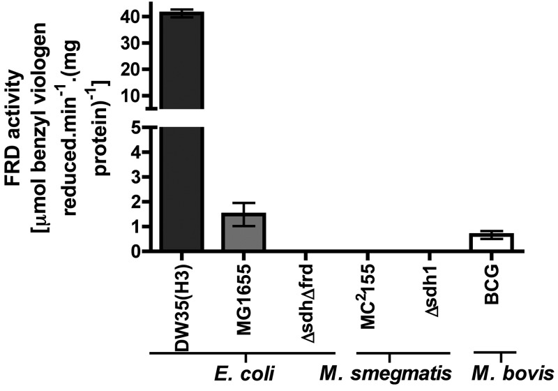 FIG 7 