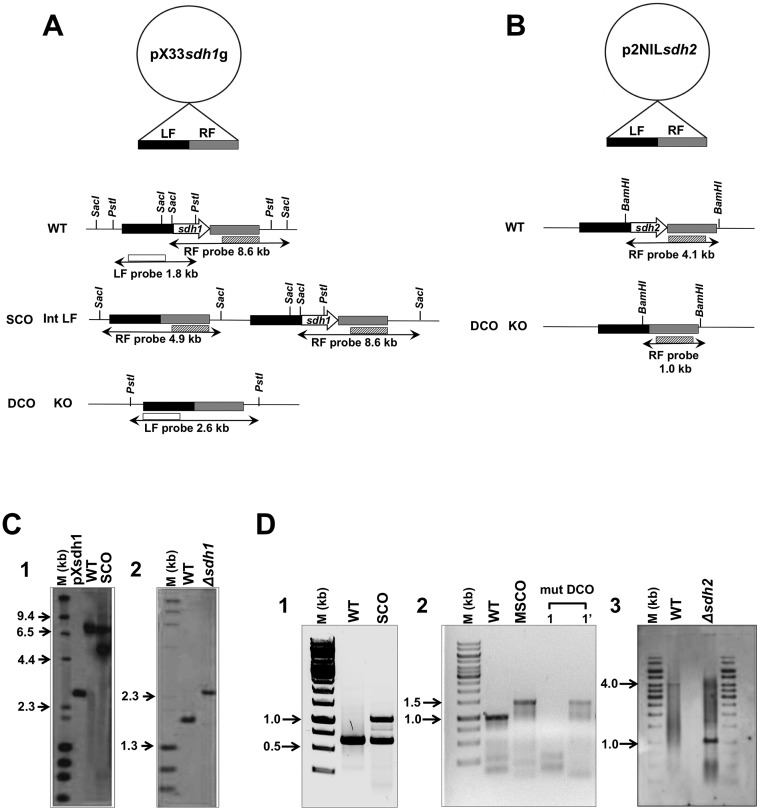 FIG 4 