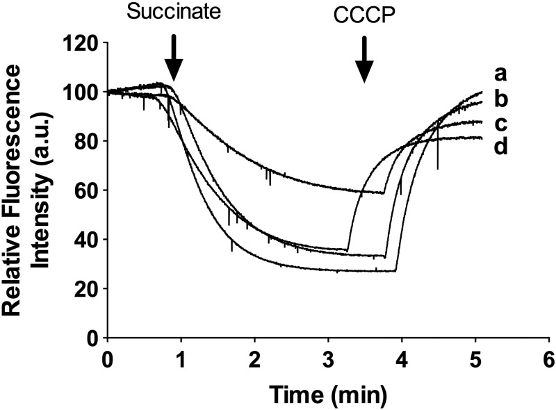 FIG 8 