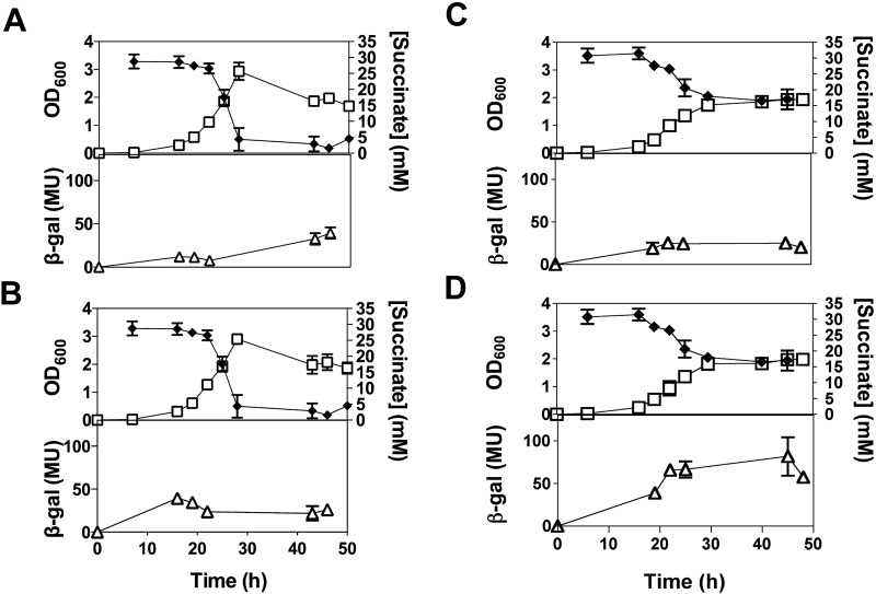 FIG 2 