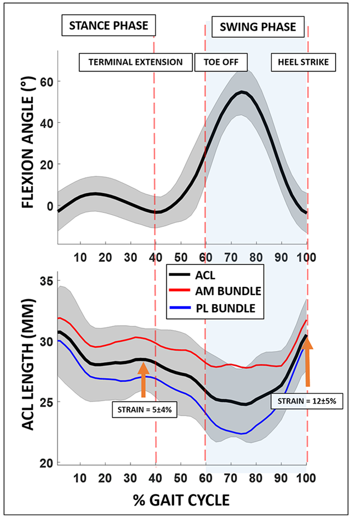 Figure 5: