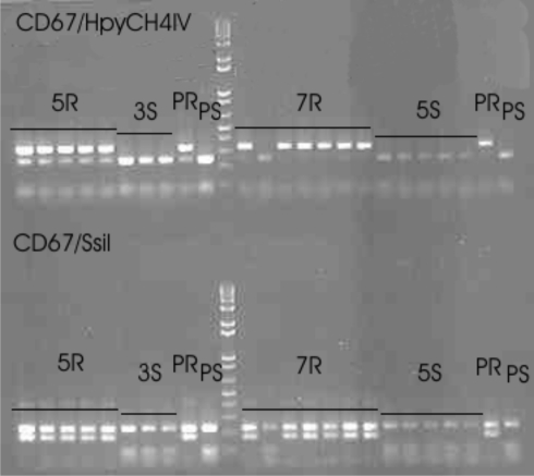 Fig. 2