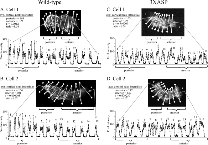 FIG. 7.