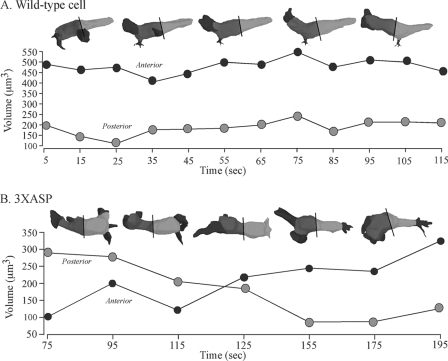 FIG. 10.