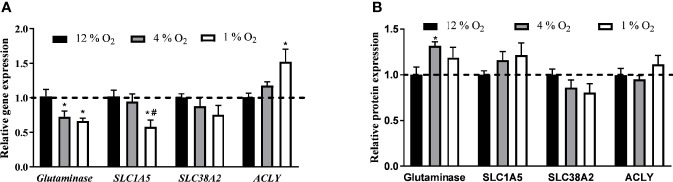 Figure 5