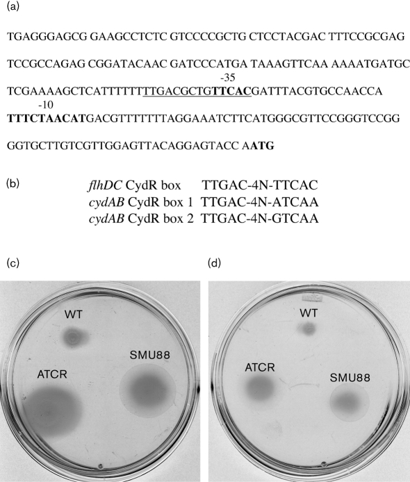 Fig. 5.