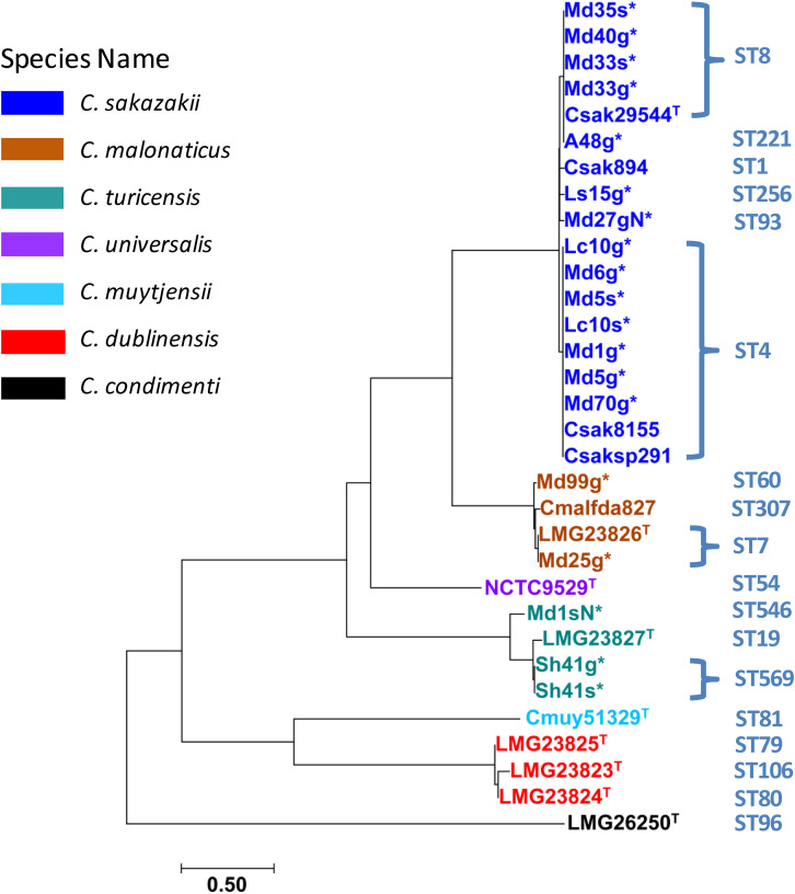 FIGURE 5