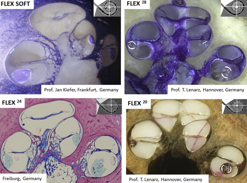 Fig. 6